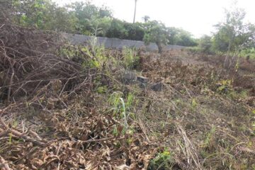 land for sale in cameroon