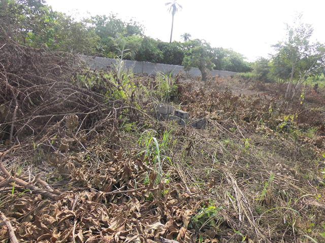 land for sale in cameroon